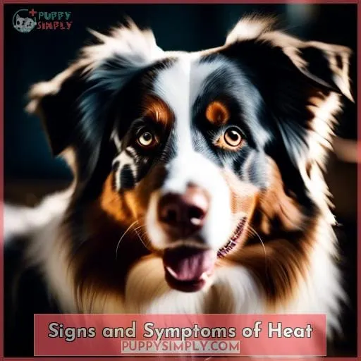 Signs and Symptoms of Heat