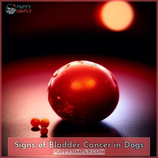 Signs of Bladder Cancer in Dogs