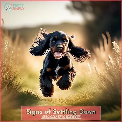 Signs of Settling Down Signs of Settling Down
