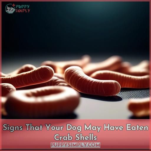 Signs That Your Dog May Have Eaten Crab Shells