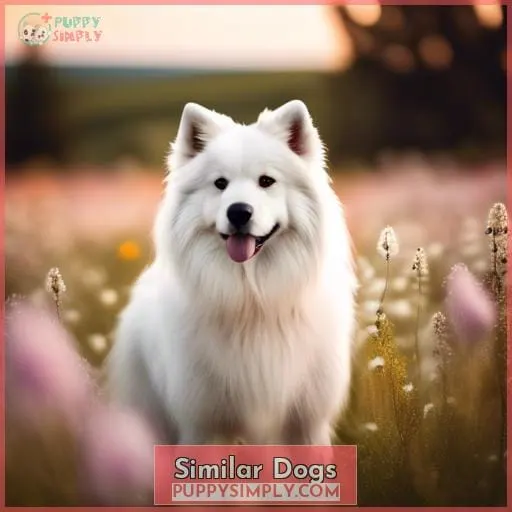 Similar Dogs