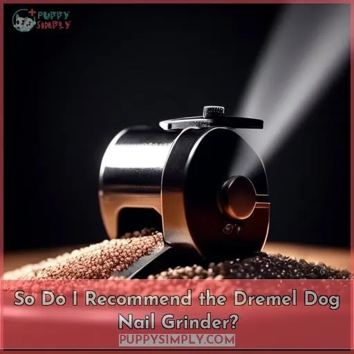 So Do I Recommend the Dremel Dog Nail Grinder