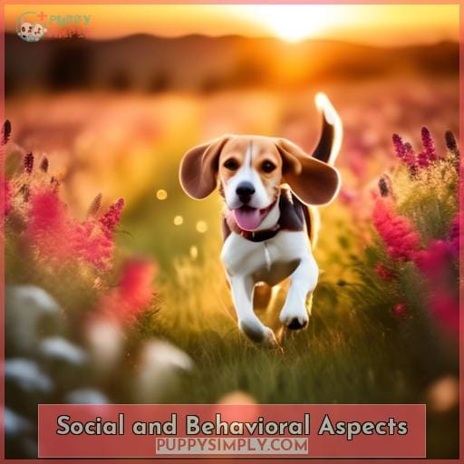 Social and Behavioral Aspects