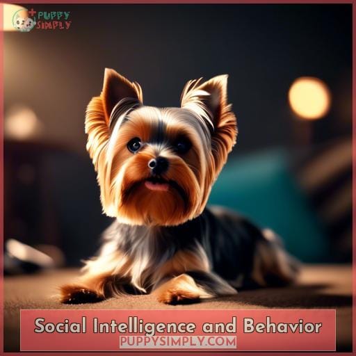 Social Intelligence and Behavior