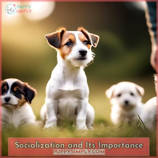 Socialization and Its Importance