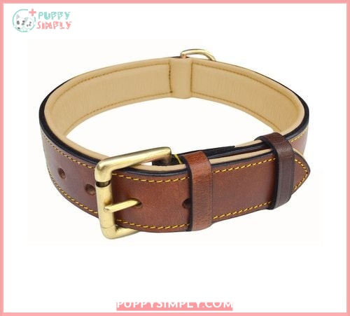 Soft Touch Collars Leather Two-Tone