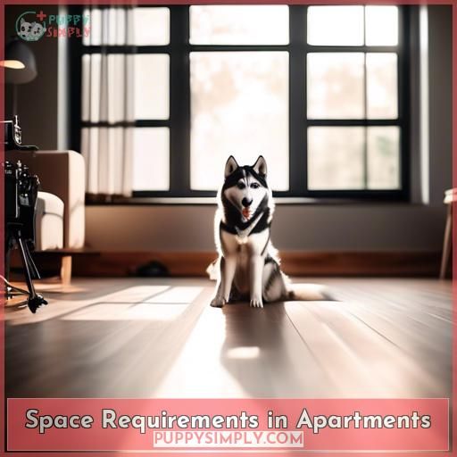 Space Requirements in Apartments Space Requirements in Apartments
