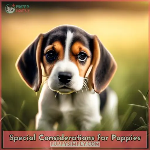 Special Considerations for Puppies