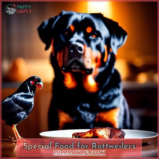 Special Food for Rottweilers