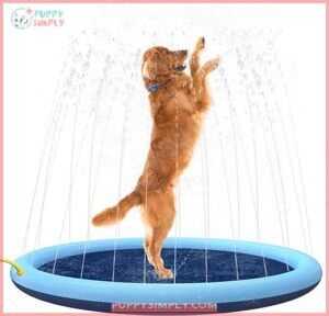 Splash Sprinkler Pad for Dogs B088NZV8YM