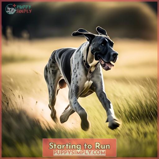 Starting to Run Starting to Run