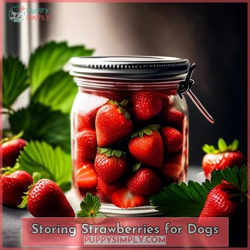 Storing Strawberries for Dogs