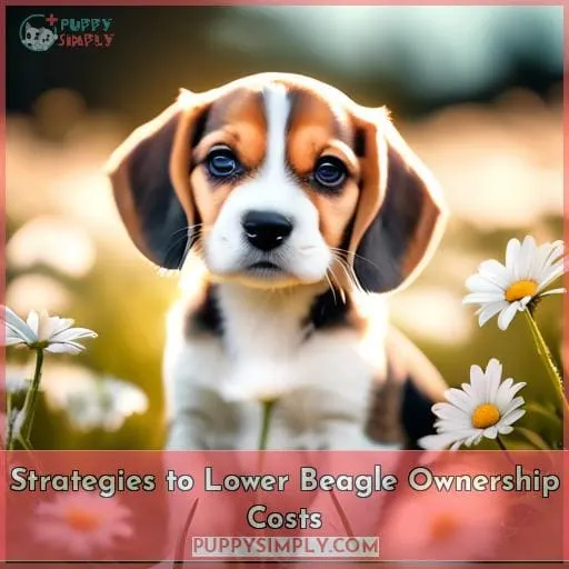 Strategies to Lower Beagle Ownership Costs