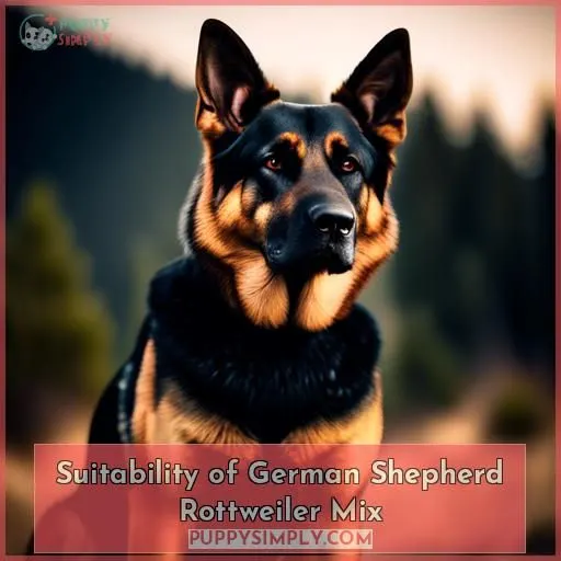 Suitability of German Shepherd Rottweiler Mix