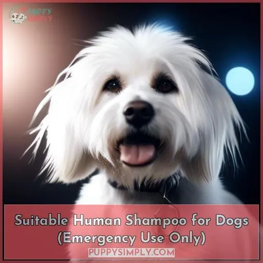 Suitable Human Shampoo for Dogs (Emergency Use Only)