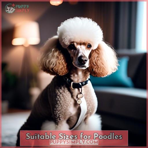 Suitable Sizes for Poodles Suitable Sizes for Poodles