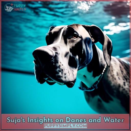 Suja's Insights on Danes and Water