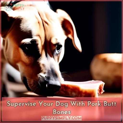 Supervise Your Dog With Pork Butt Bones