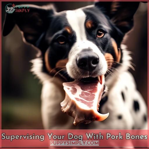 Supervising Your Dog With Pork Bones