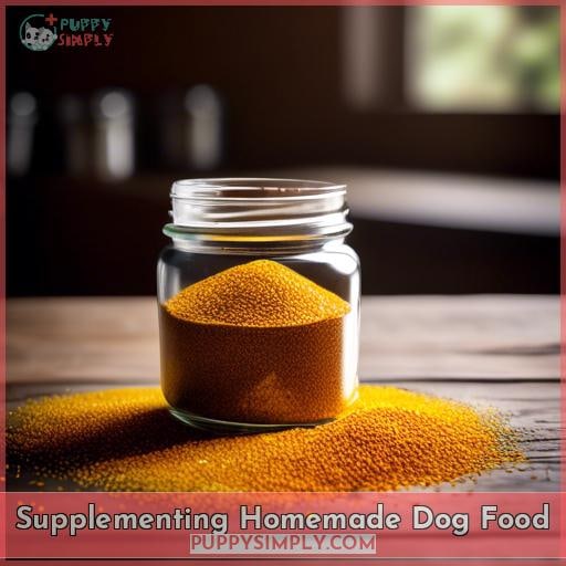 Supplementing Homemade Dog Food