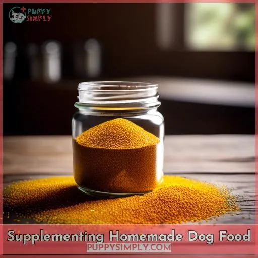 Supplementing Homemade Dog Food