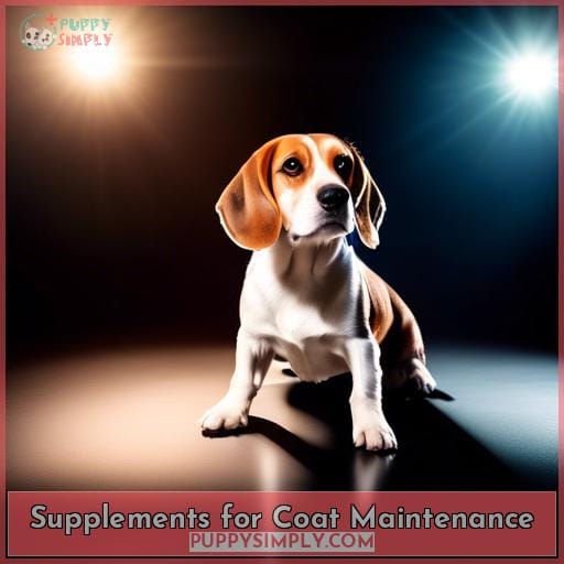 Supplements for Coat Maintenance