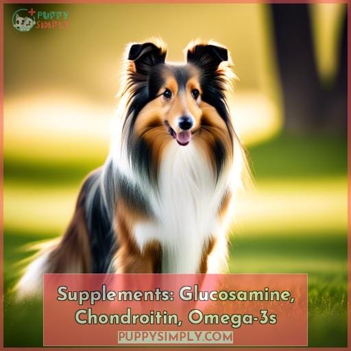 Supplements: Glucosamine, Chondroitin, Omega-3s