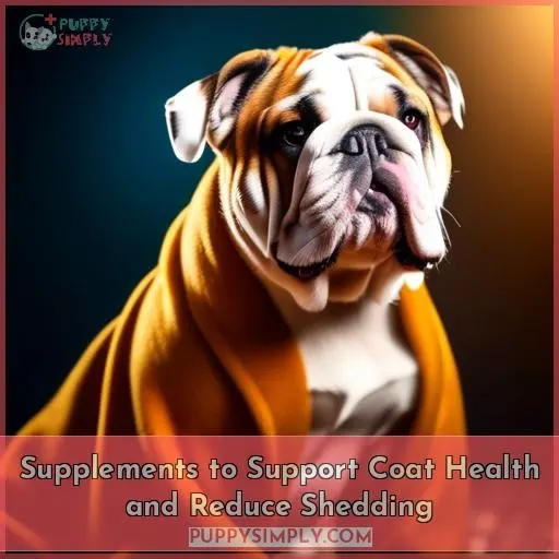 Supplements to Support Coat Health and Reduce Shedding