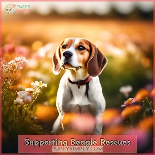 Supporting Beagle Rescues