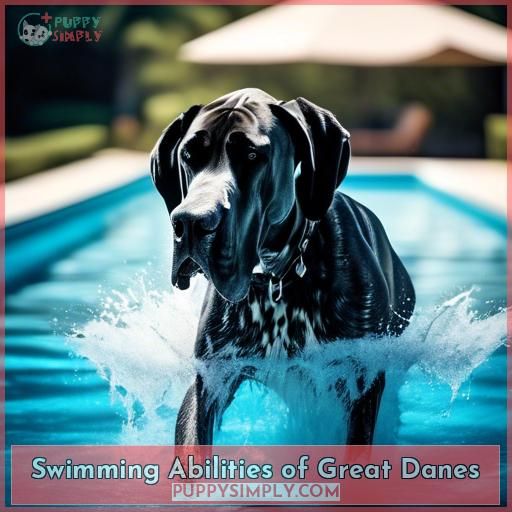 Swimming Abilities of Great Danes