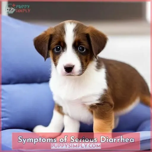 Symptoms of Serious Diarrhea