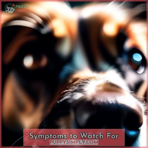 Symptoms to Watch For
