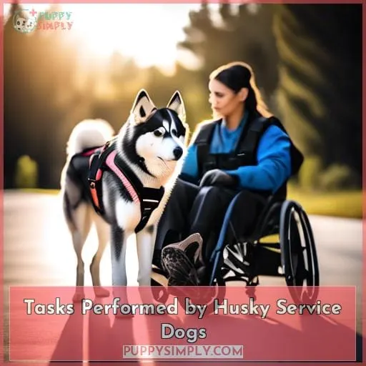 Tasks Performed by Husky Service Dogs