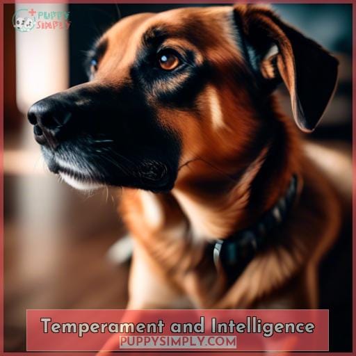 Temperament and Intelligence