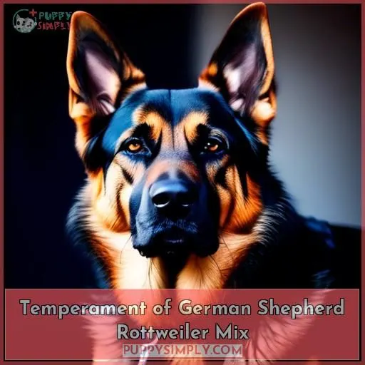 Temperament of German Shepherd Rottweiler Mix
