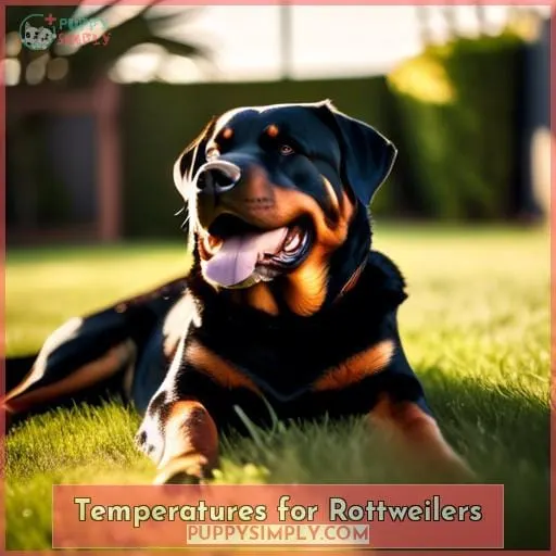 Temperatures for Rottweilers