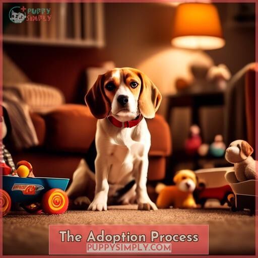 The Adoption Process The Adoption Process