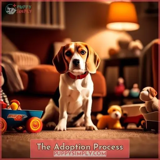 The Adoption Process