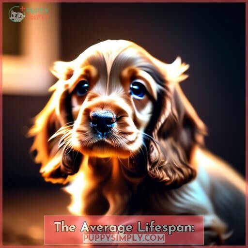 The Average Lifespan: The Average Lifespan: