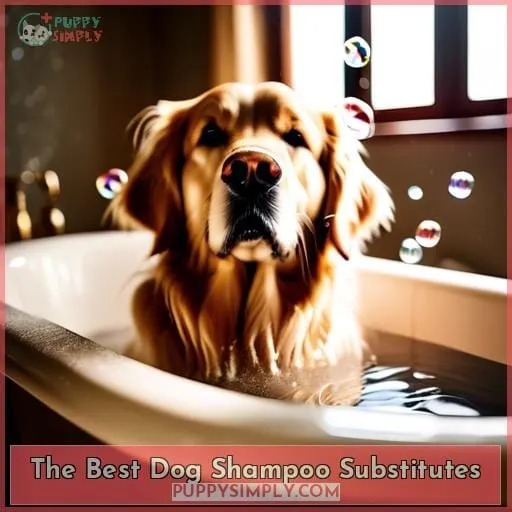 The Best Dog Shampoo Substitutes