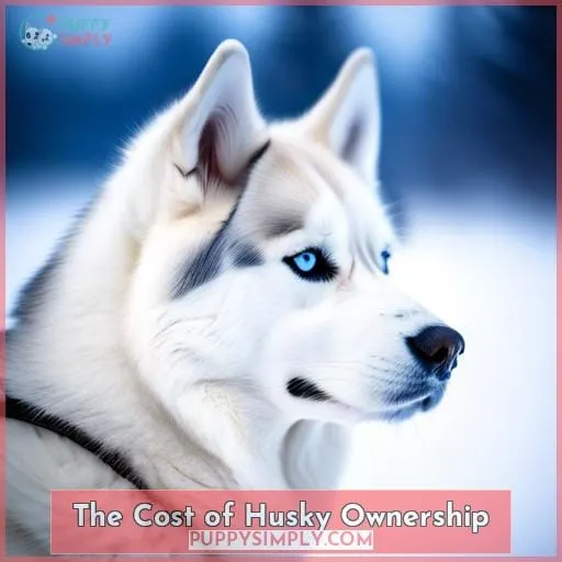 The Cost of Husky Ownership