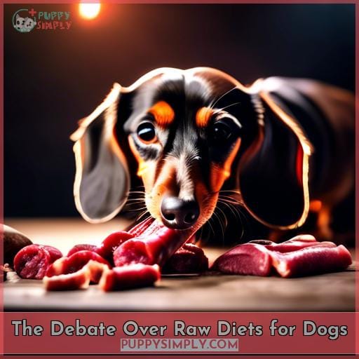 The Debate Over Raw Diets for Dogs