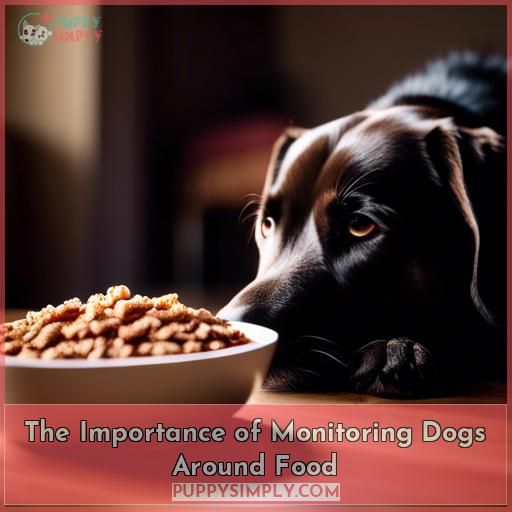 The Importance of Monitoring Dogs Around Food