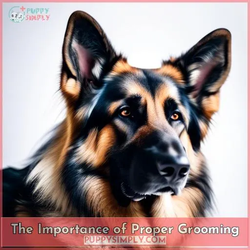 The Importance of Proper Grooming