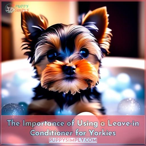 The Importance of Using a Leave-in Conditioner for Yorkies