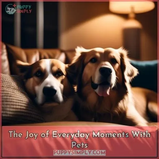 The Joy of Everyday Moments With Pets