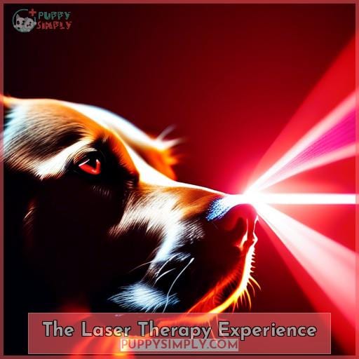 The Laser Therapy Experience