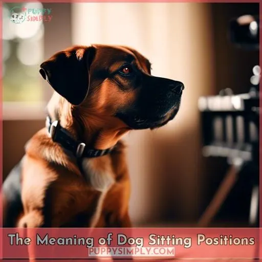 The Meaning of Dog Sitting Positions