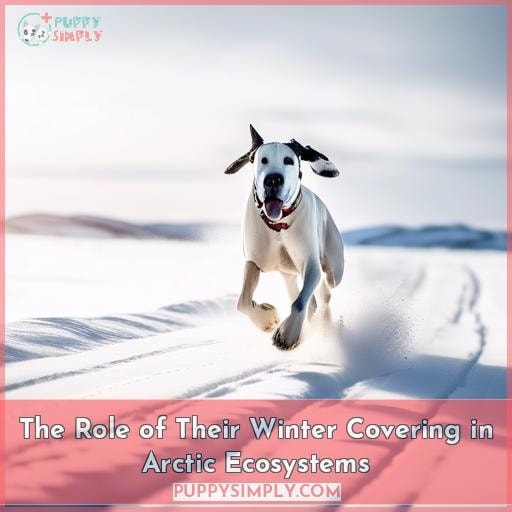 The Role of Their Winter Covering in Arctic Ecosystems