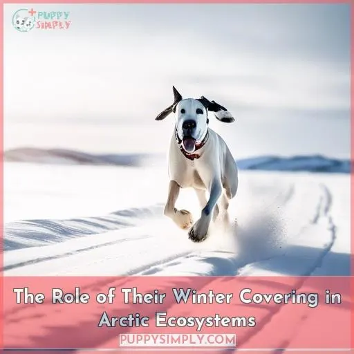 The Role of Their Winter Covering in Arctic Ecosystems